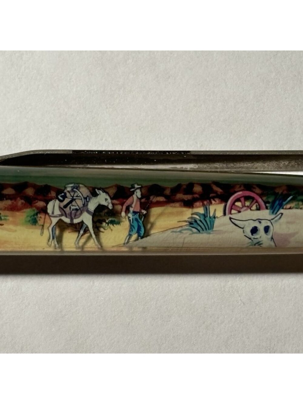 Death Valley California Floaty Pen Frontier Man Pack Horse Mule Moves in Desert